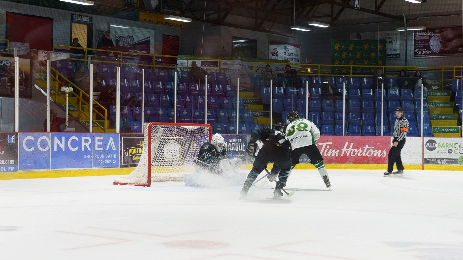 Les Condors sans pitié face aux Panthères