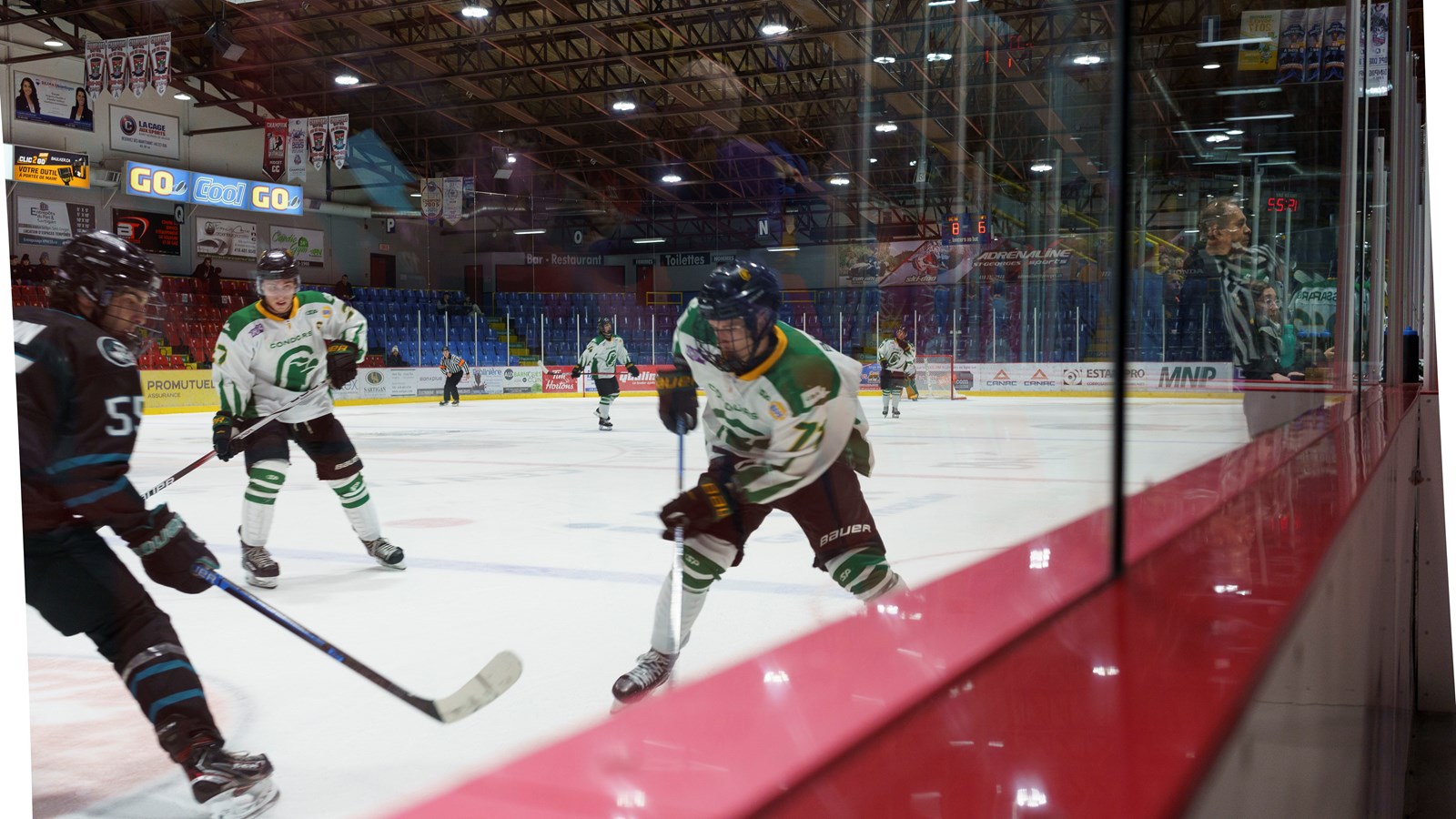 Les Condors sans pitié face aux Panthères