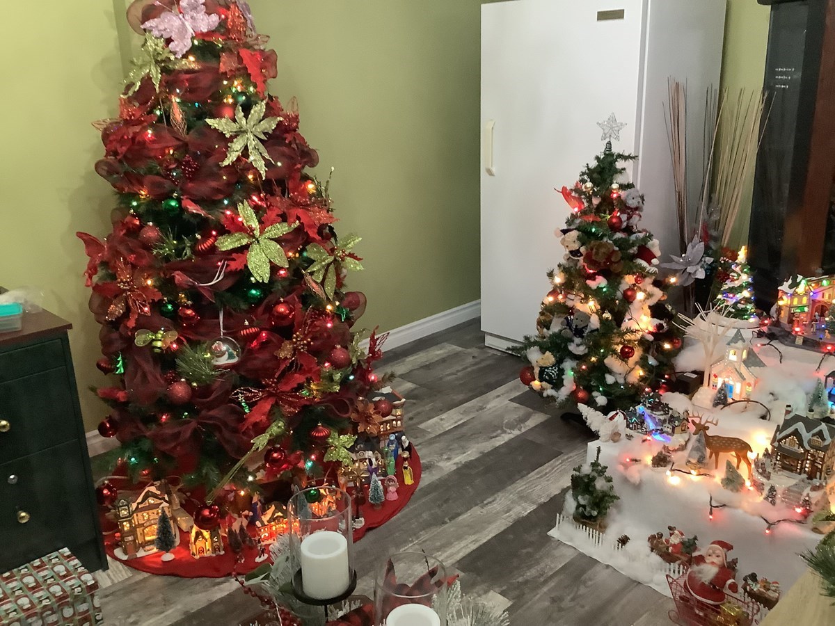 Galerie 1: partageons la magie de Noël
