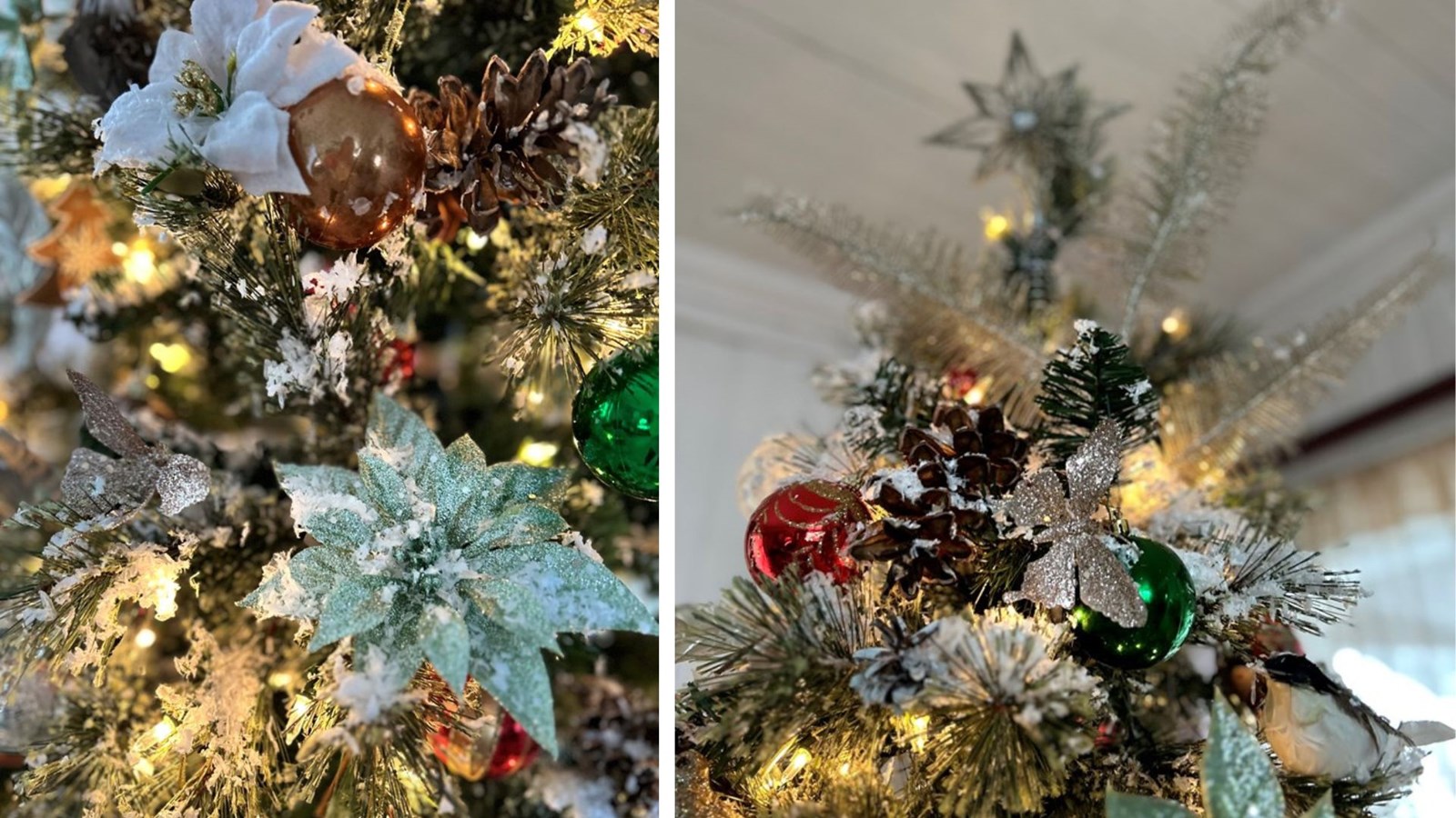 Galerie 1: partageons la magie de Noël