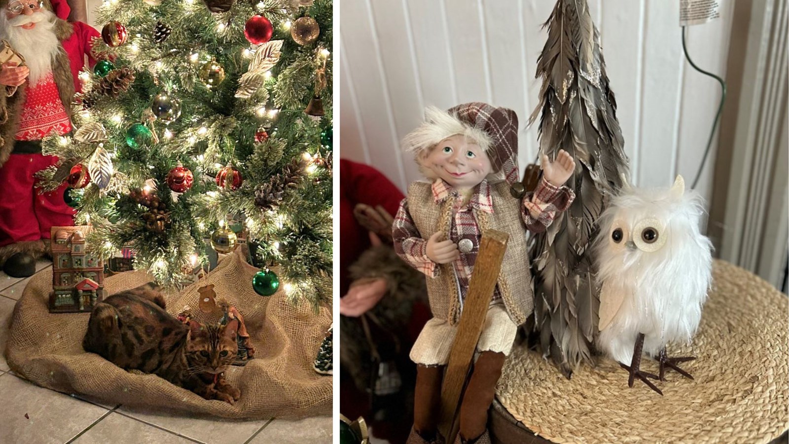 Galerie 1: partageons la magie de Noël
