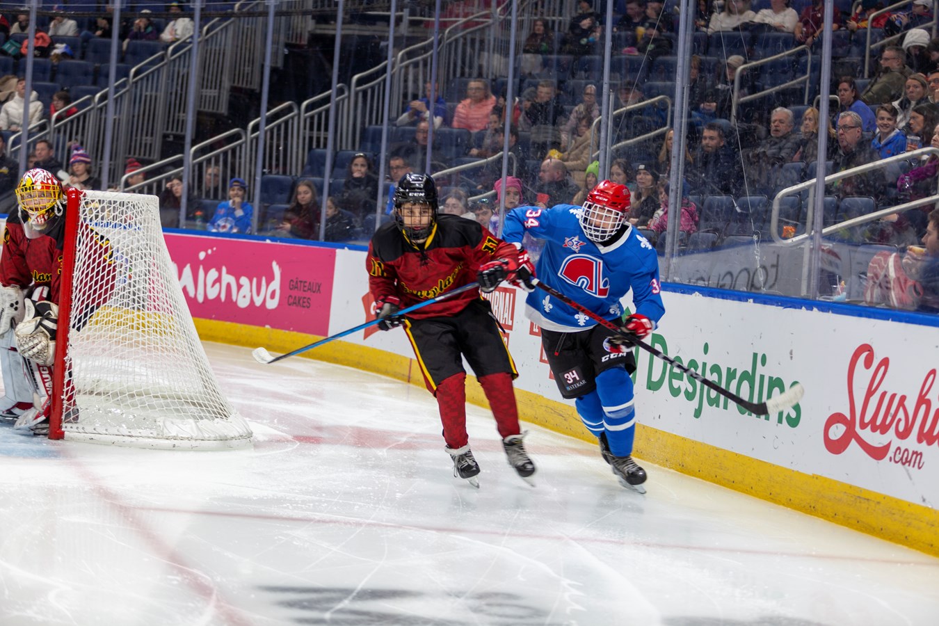 Les Petits Nordiques gagnent leur première partie