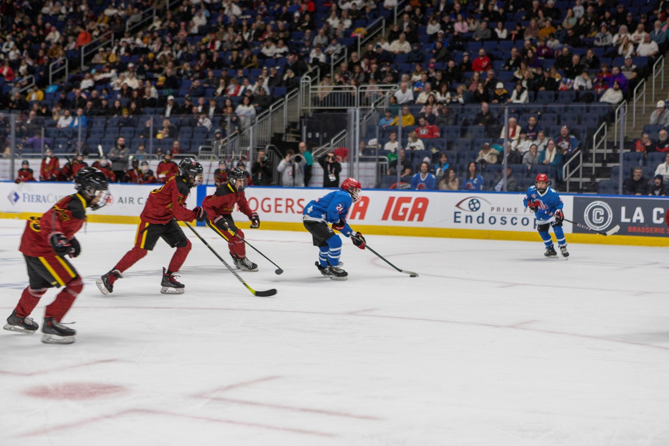 Les Petits Nordiques gagnent leur première partie