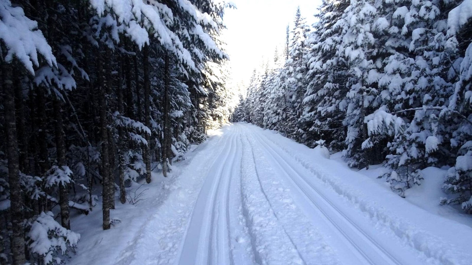 Sentier Probiski