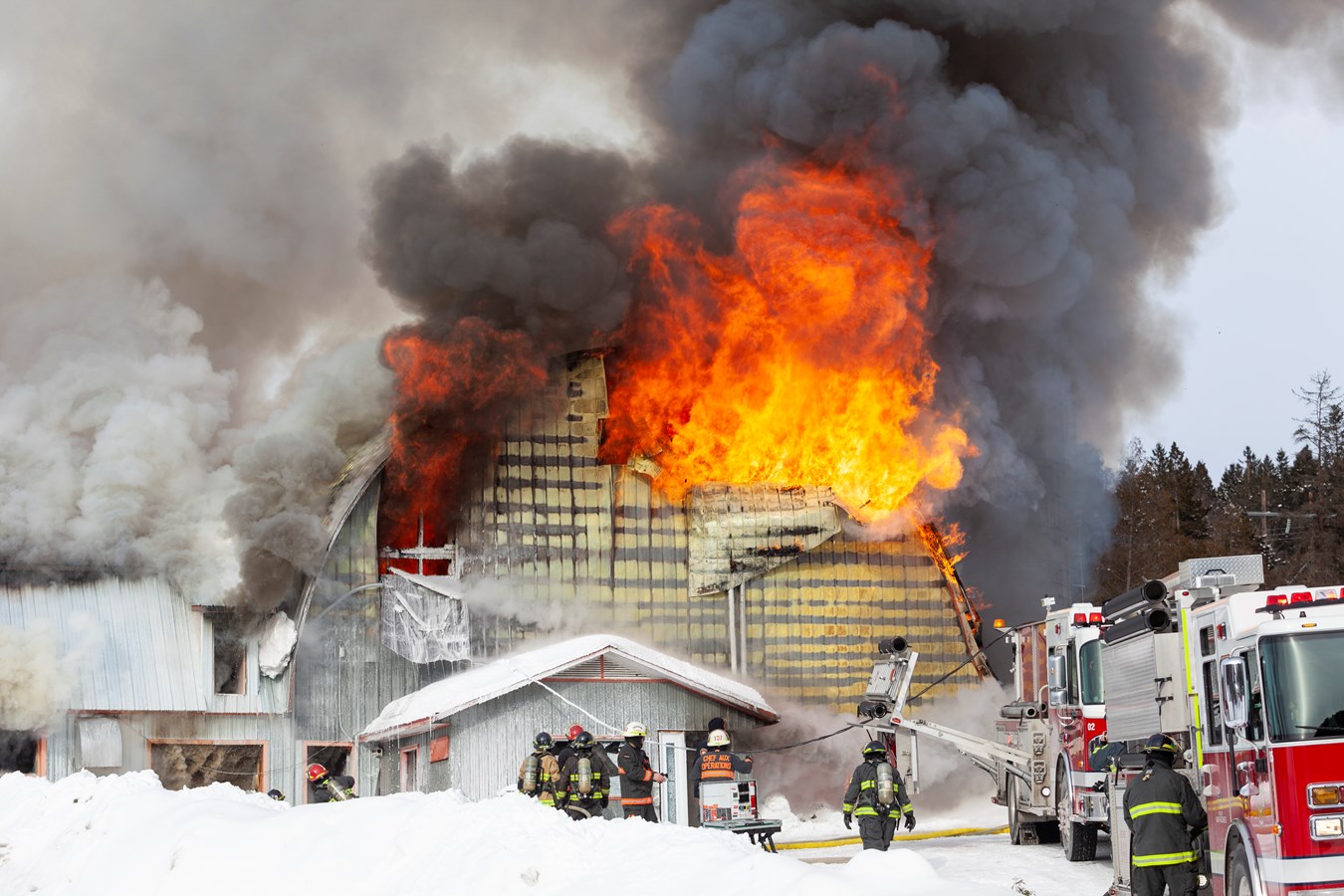 Incendie agricole Saint-Georges : 70 bêtes ont péri