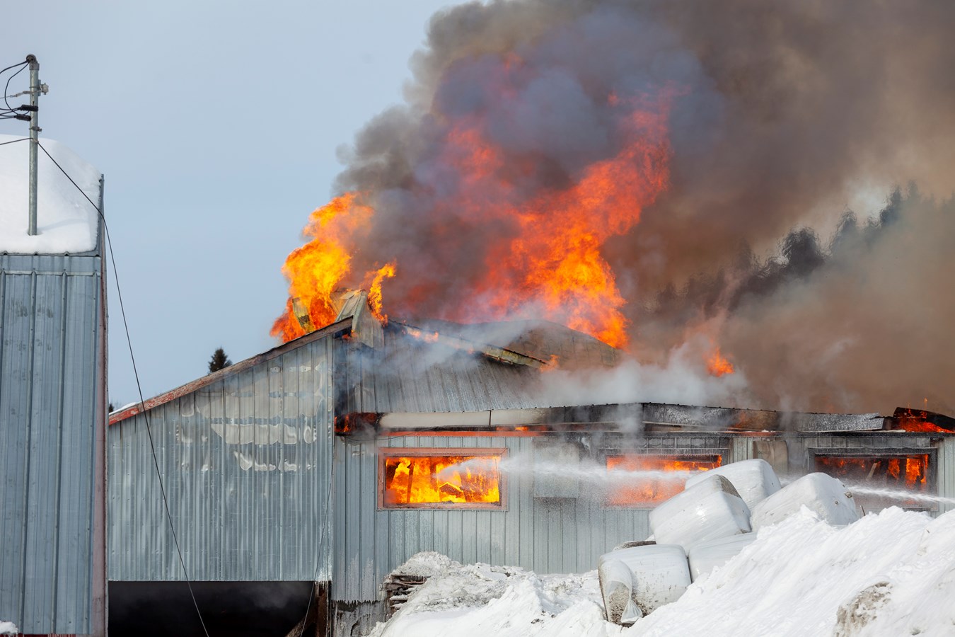 Incendie agricole Saint-Georges : 70 bêtes ont péri