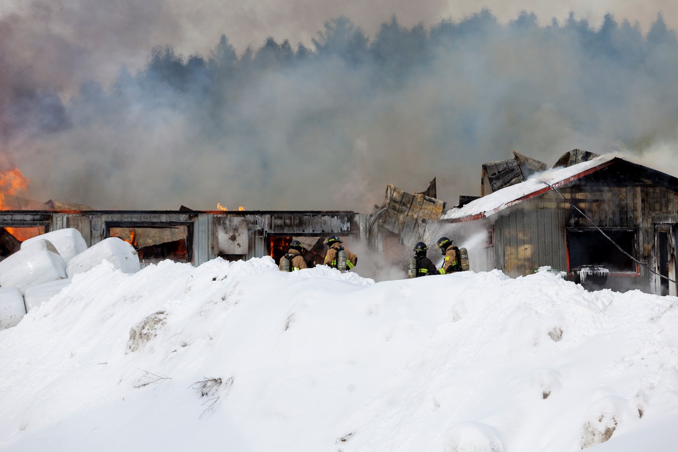 Incendie agricole Saint-Georges : 70 bêtes ont péri