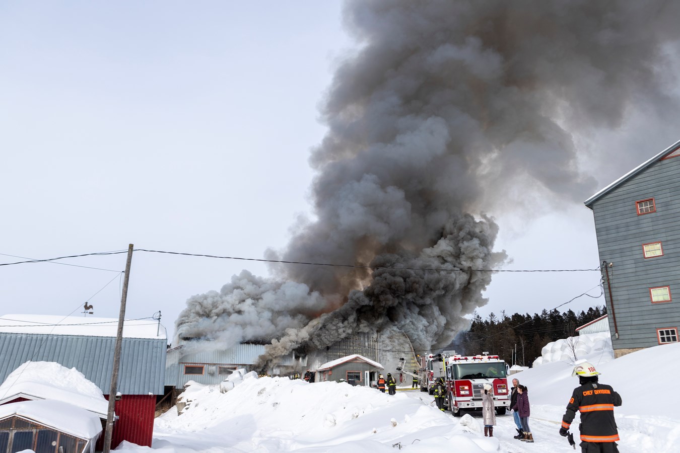 Incendie agricole Saint-Georges : 70 bêtes ont péri