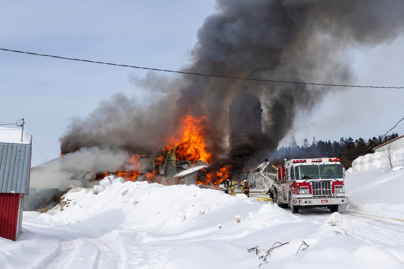 Incendie agricole Saint-Georges : 70 bêtes ont péri