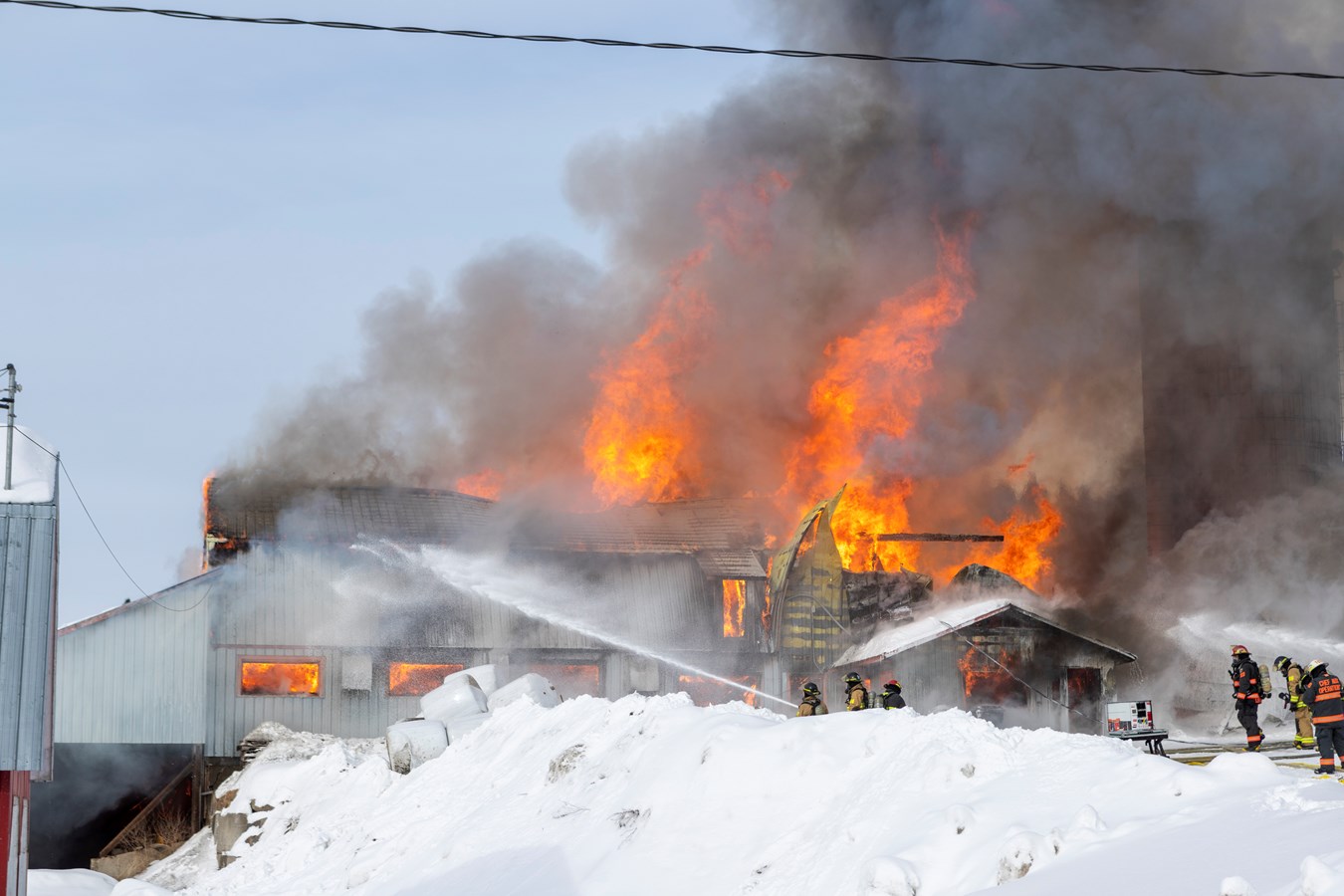 Incendie agricole Saint-Georges : 70 bêtes ont péri