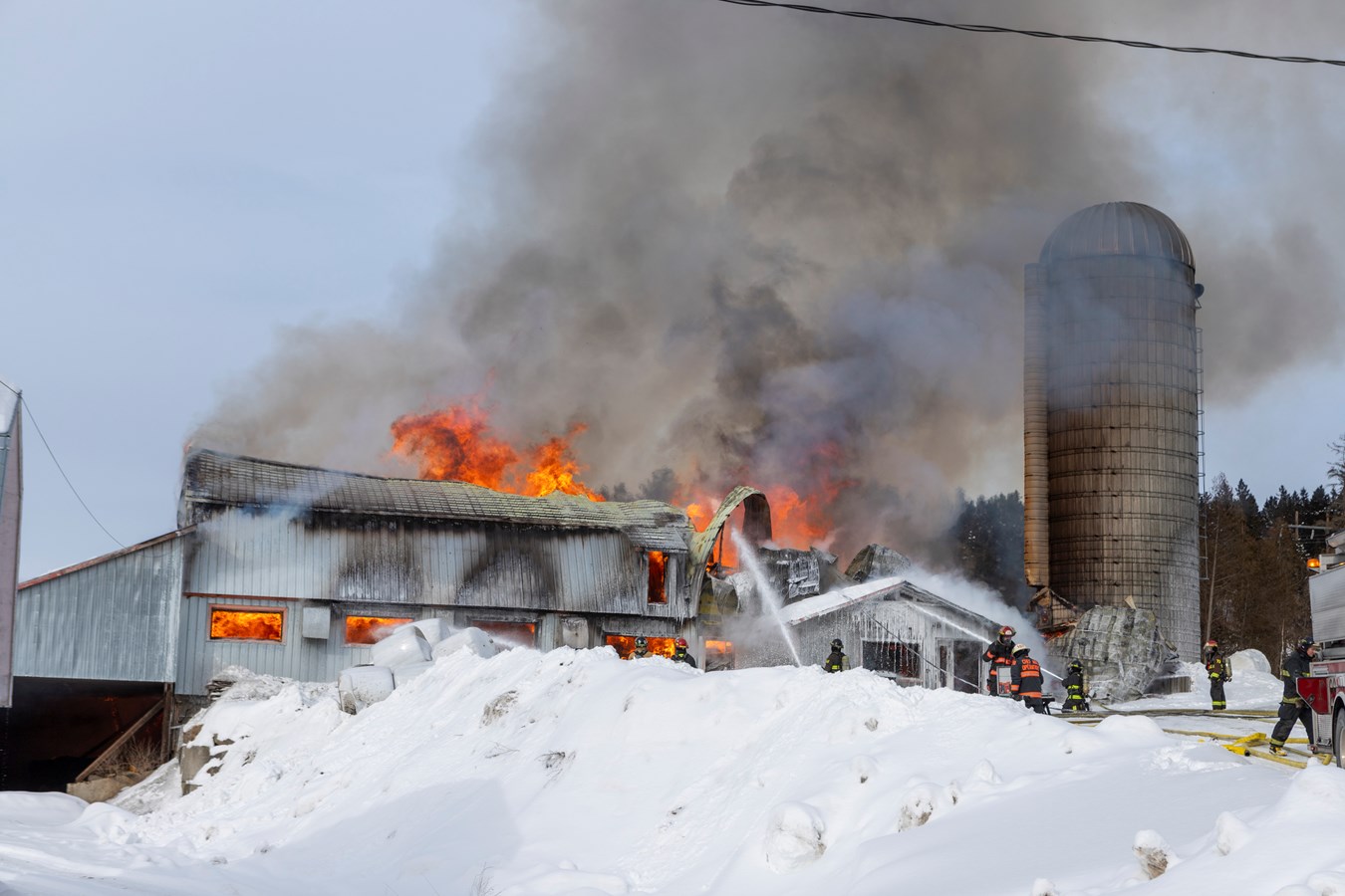 Incendie agricole Saint-Georges : 70 bêtes ont péri
