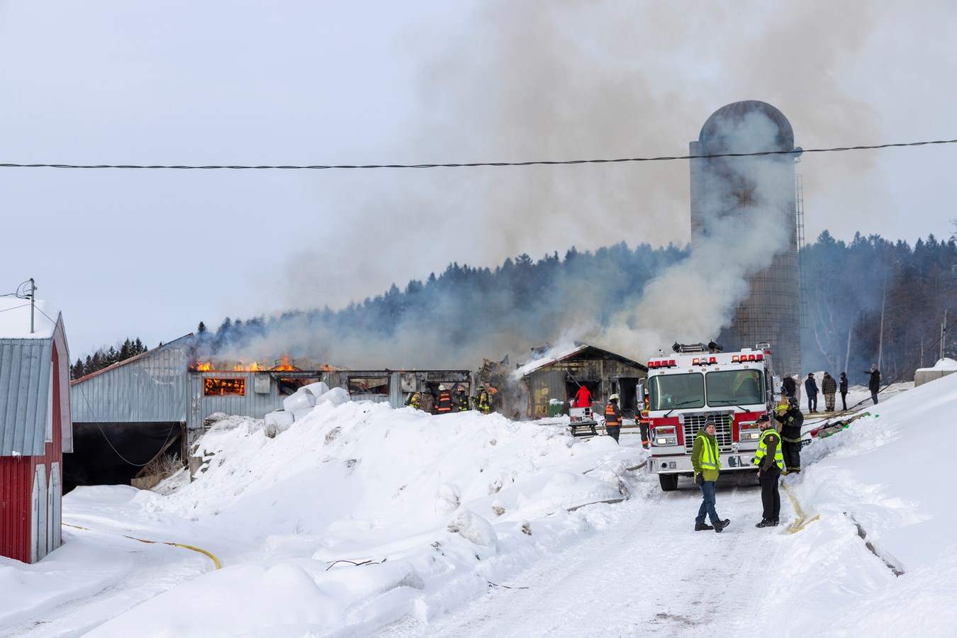 Incendie agricole Saint-Georges : 70 bêtes ont péri