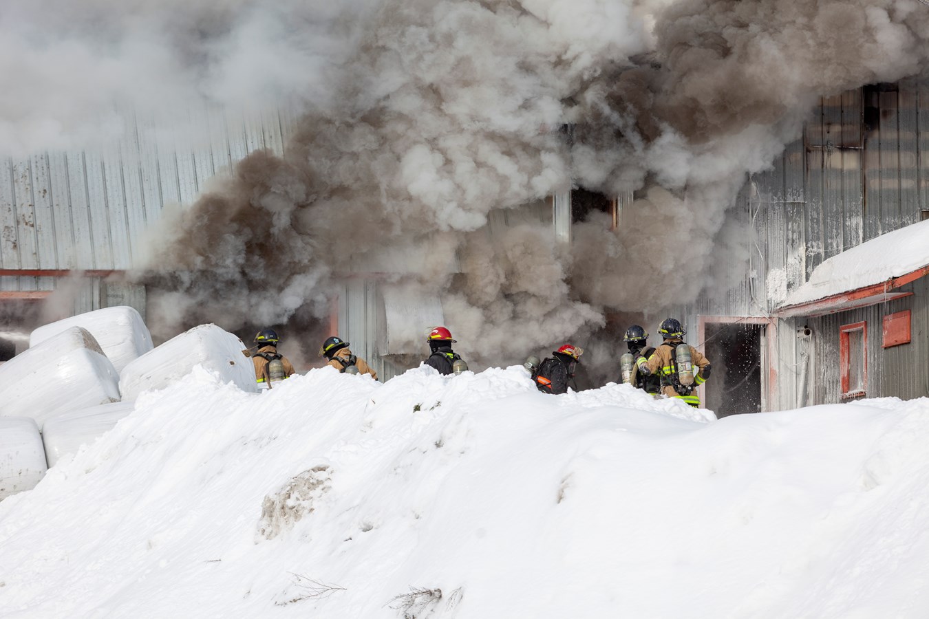 Incendie agricole Saint-Georges : 70 bêtes ont péri