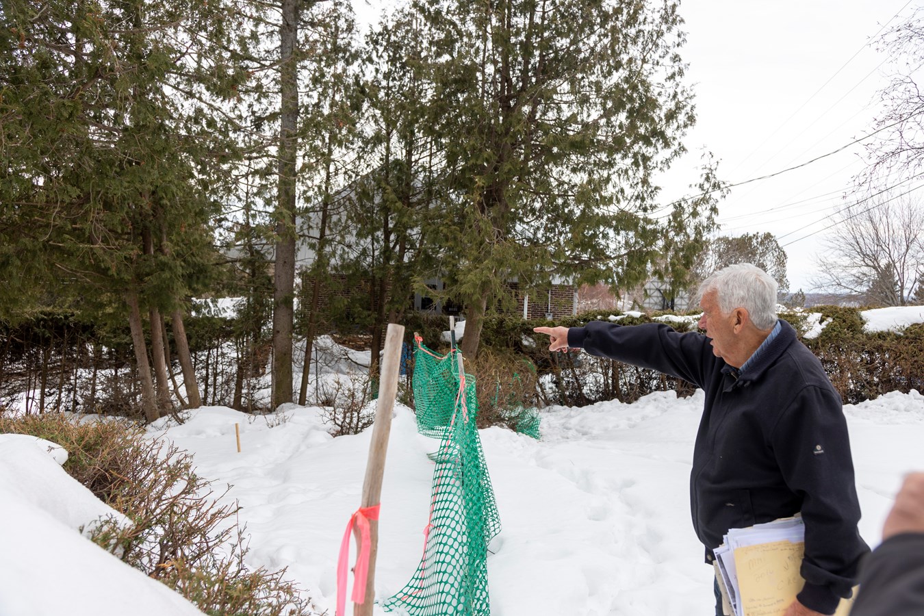 Les chevreuils dérangent à Saint-Georges