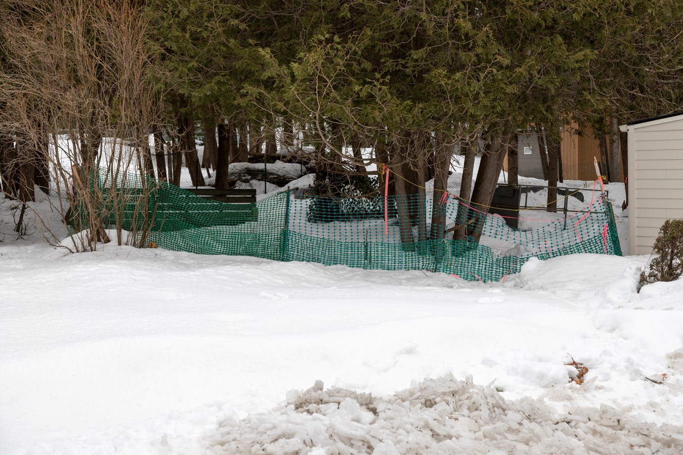 Les chevreuils dérangent à Saint-Georges