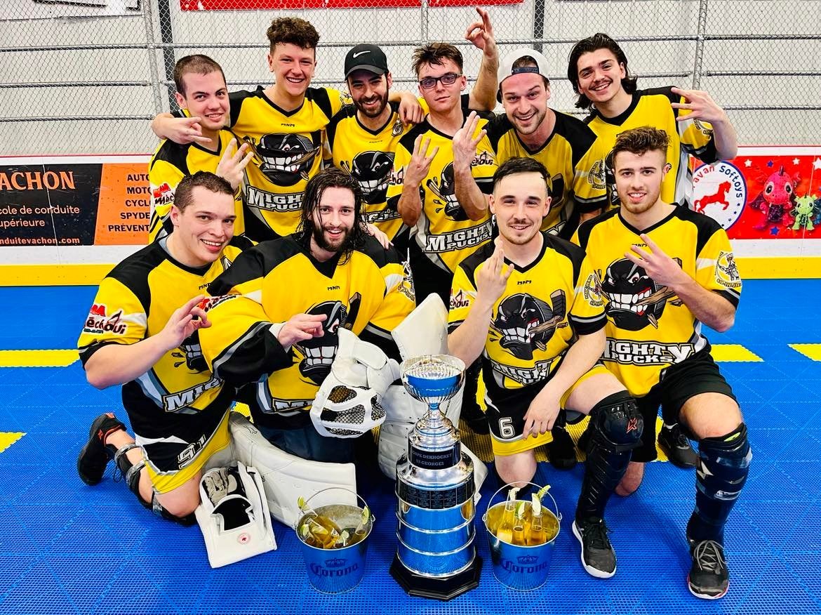 Mighty Pucks - D1