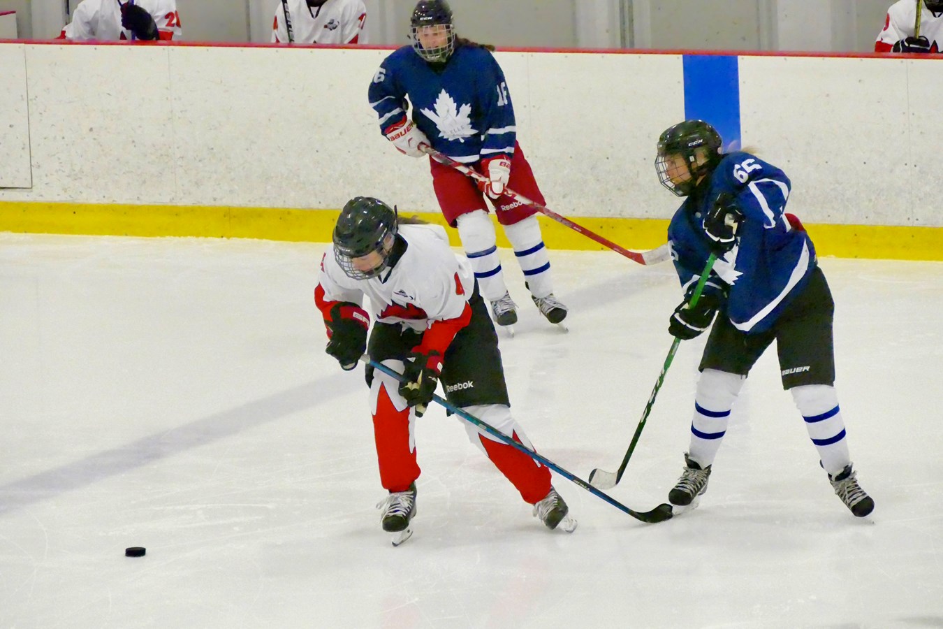 Le Tournoi de hockey féminin est lancé !