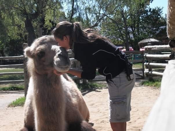 Avec les chameaux du Zoo de Granby