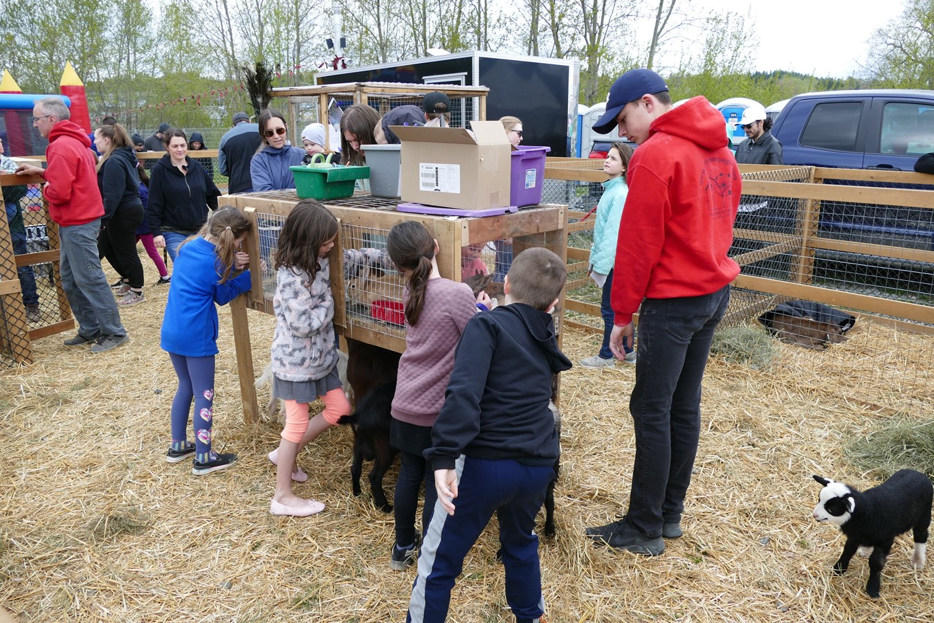 Saint-Georges: le Festival beauceron de l'érable bat son plein