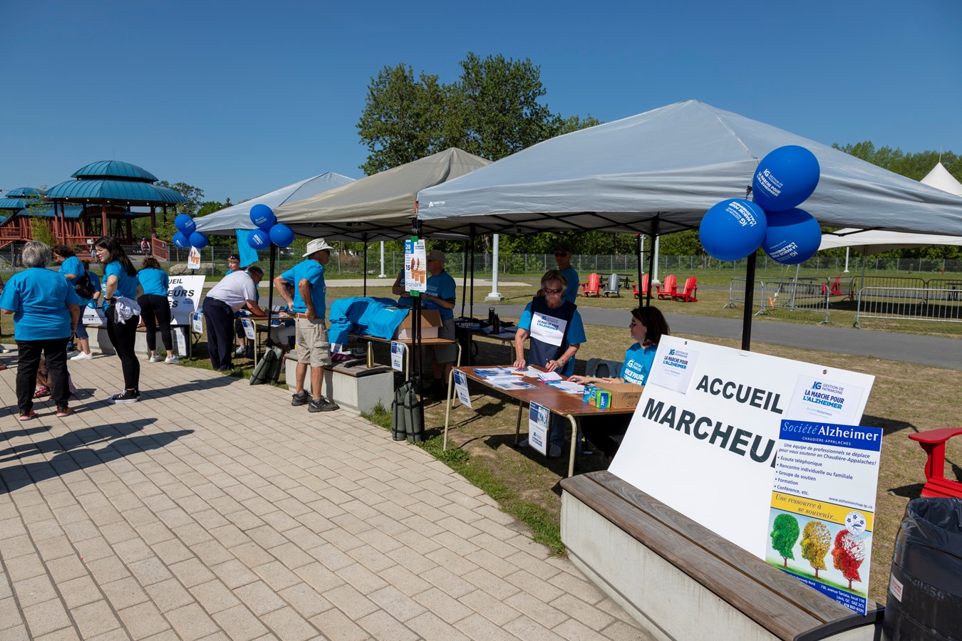 Plus de 50 000 $ récoltés à la Marche pour l'Alzheimer