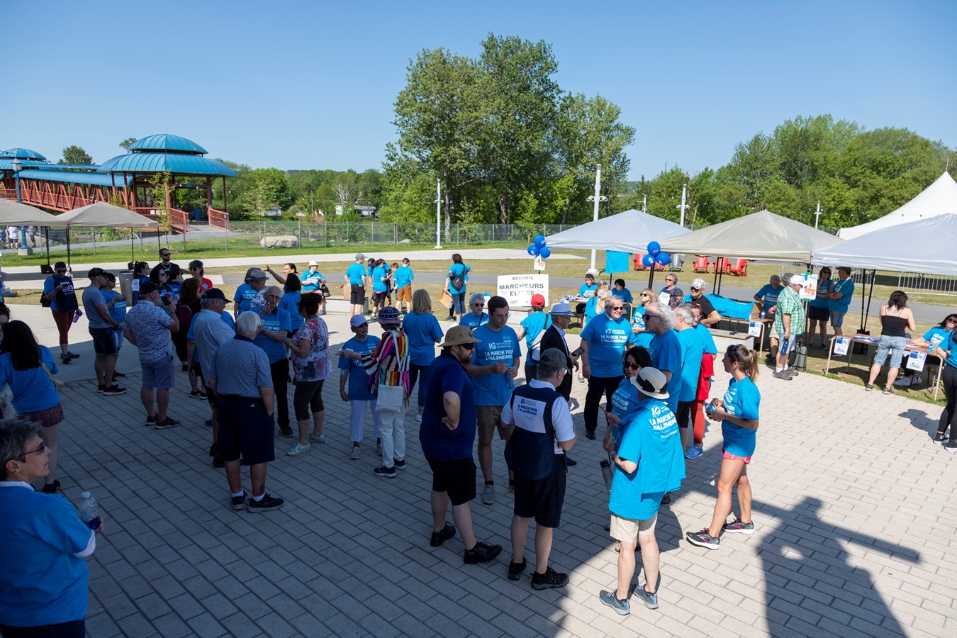 Plus de 50 000 $ récoltés à la Marche pour l'Alzheimer