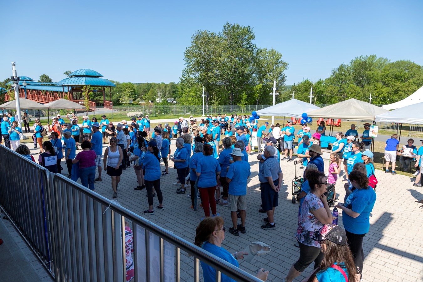 Plus de 50 000 $ récoltés à la Marche pour l'Alzheimer