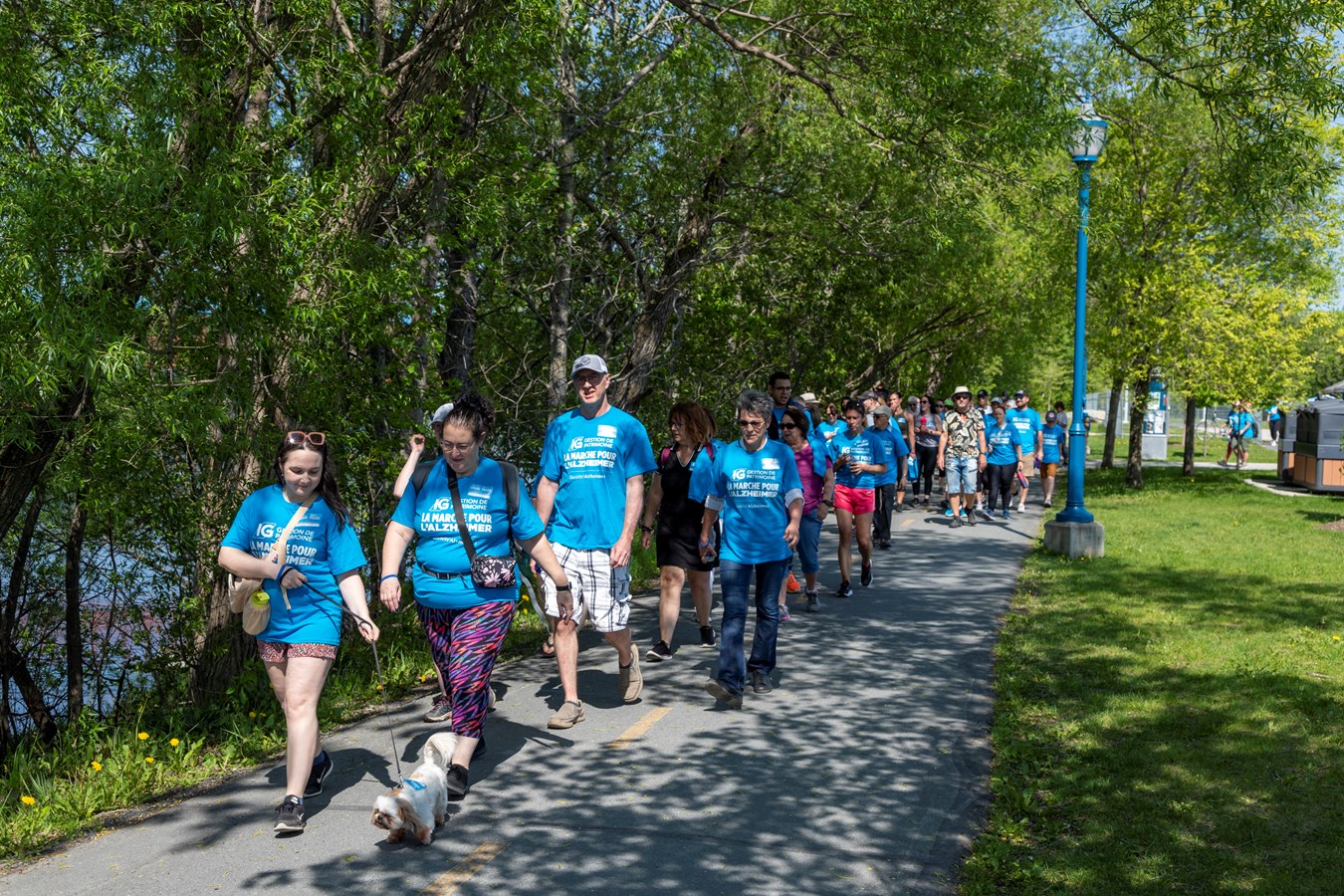 Plus de 50 000 $ récoltés à la Marche pour l'Alzheimer