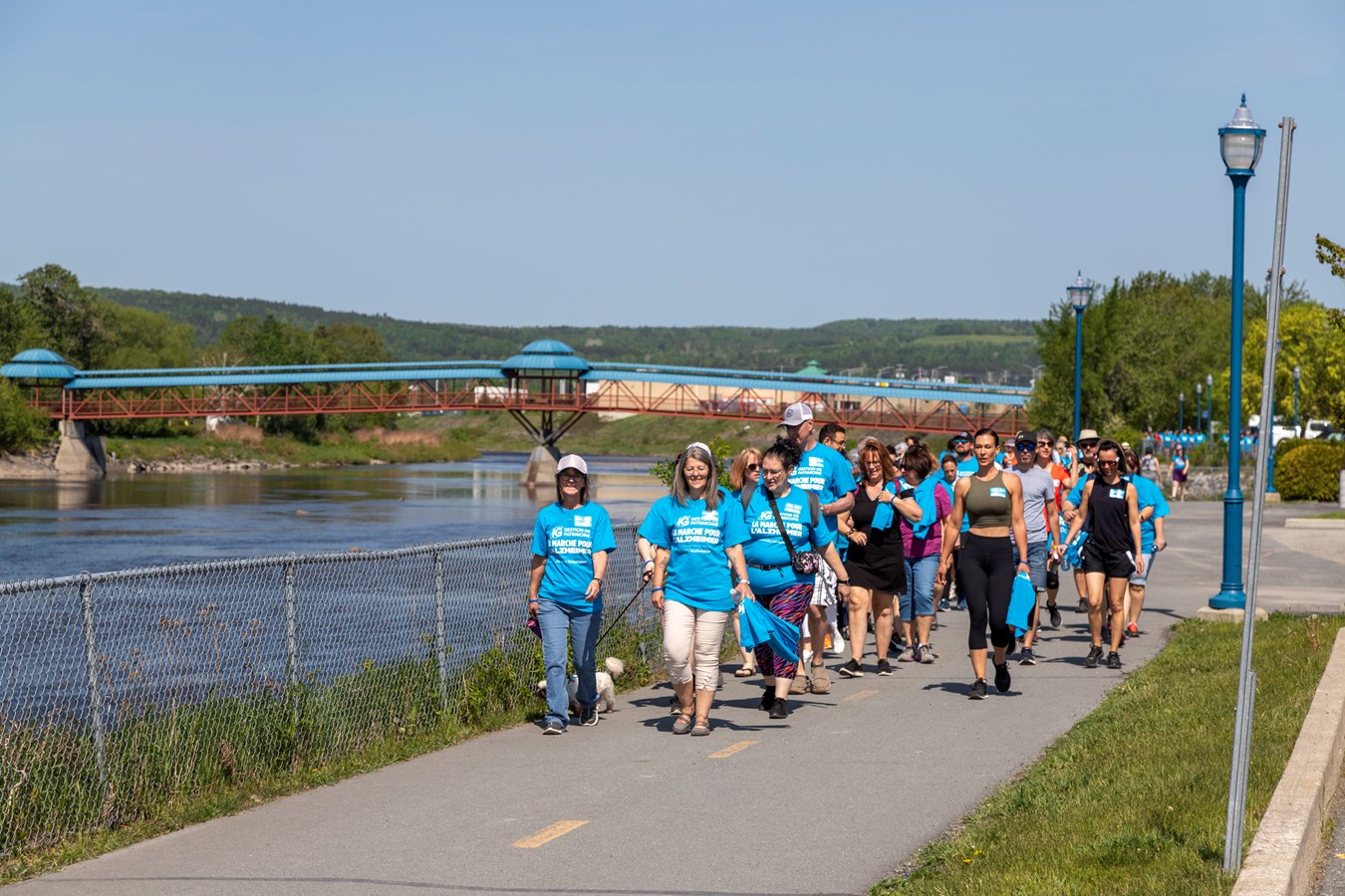 Plus de 50 000 $ récoltés à la Marche pour l'Alzheimer