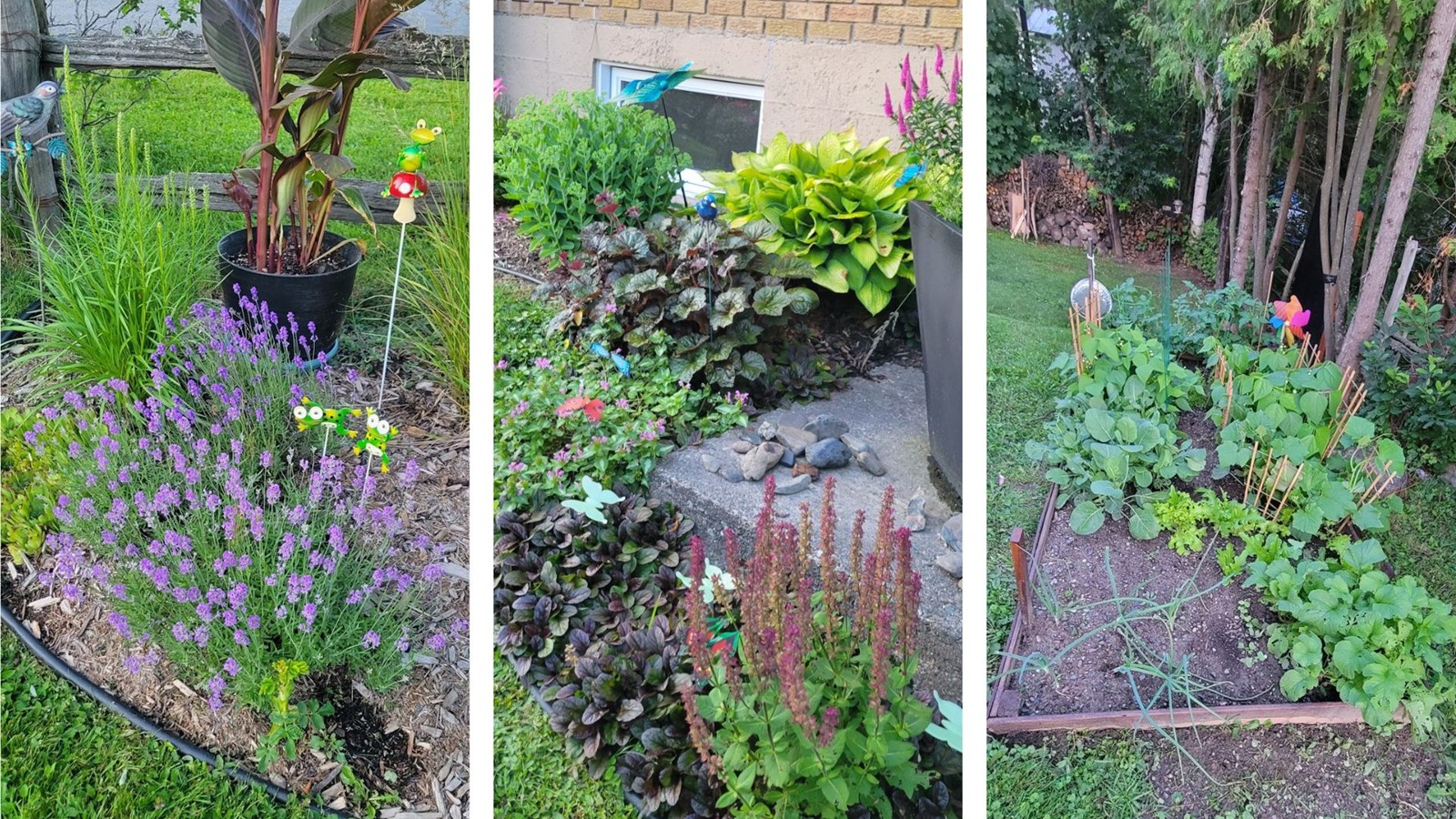 Galerie 1: vos jardins et vos fleurs