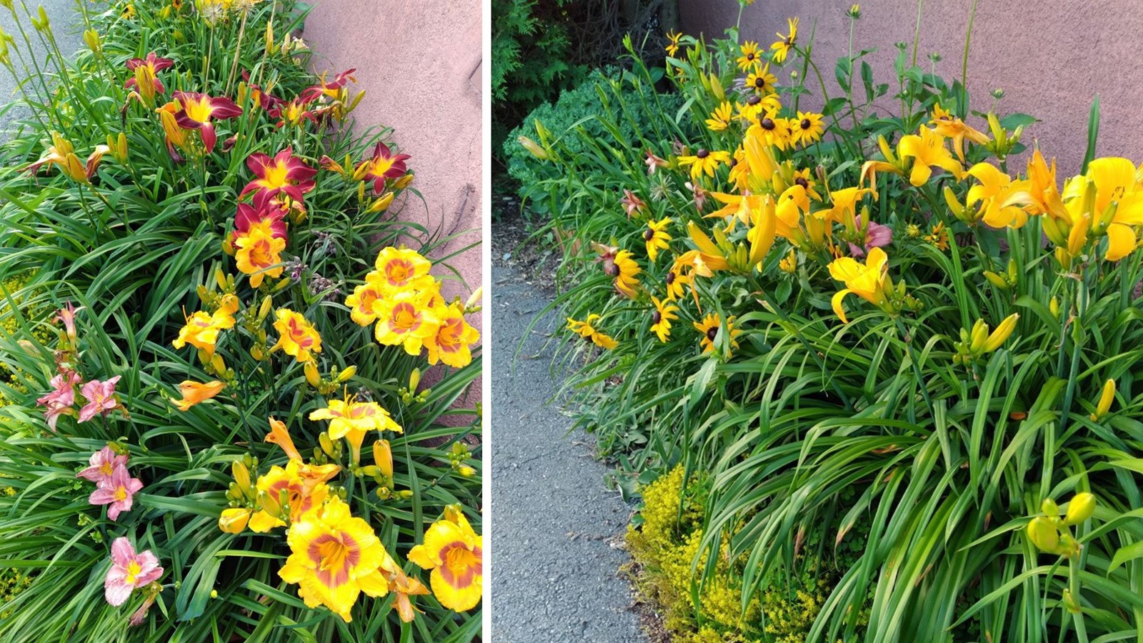 Galerie 1: vos jardins et vos fleurs