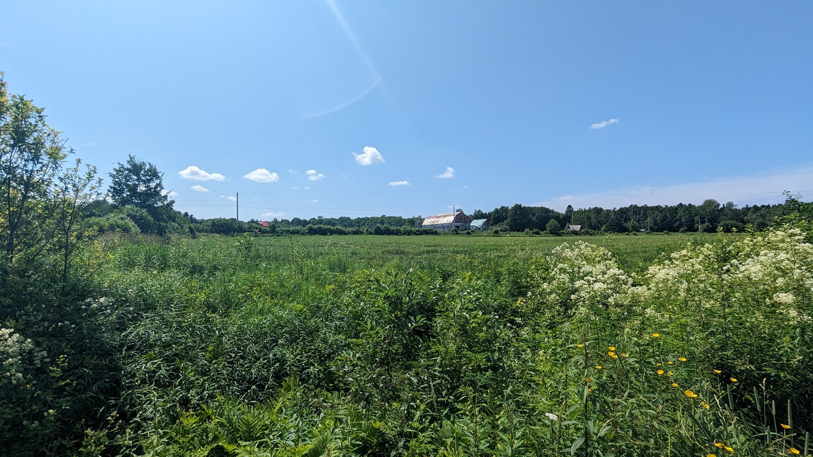Galerie 1: la Beauce en été