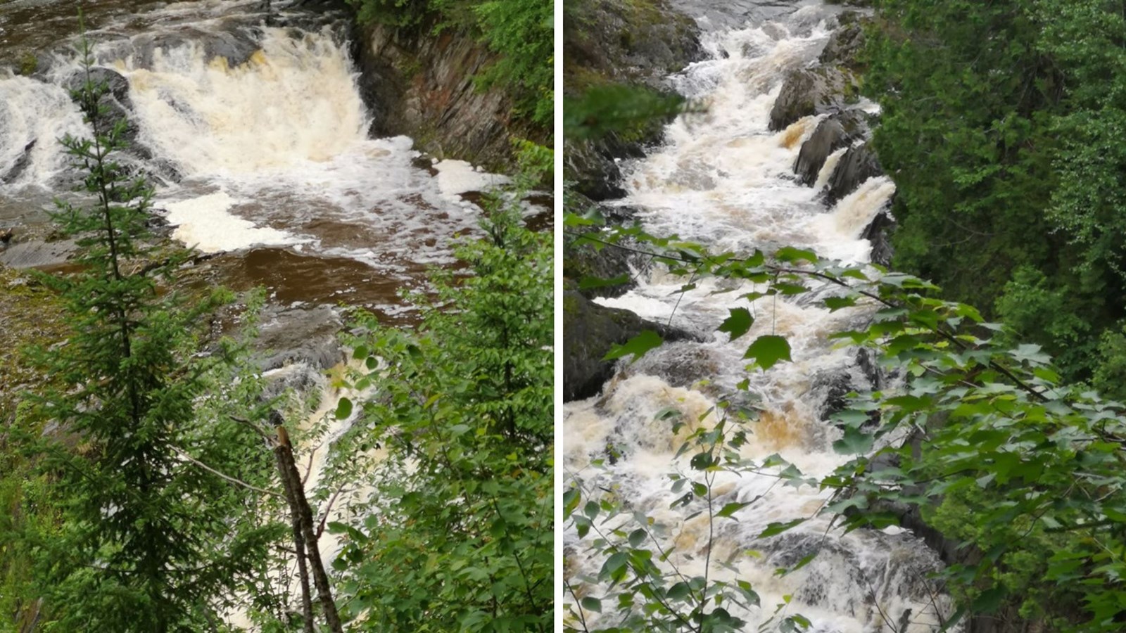 Galerie 2: la Beauce en été