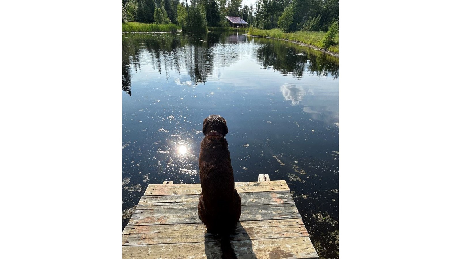 Galerie 2: la Beauce en été
