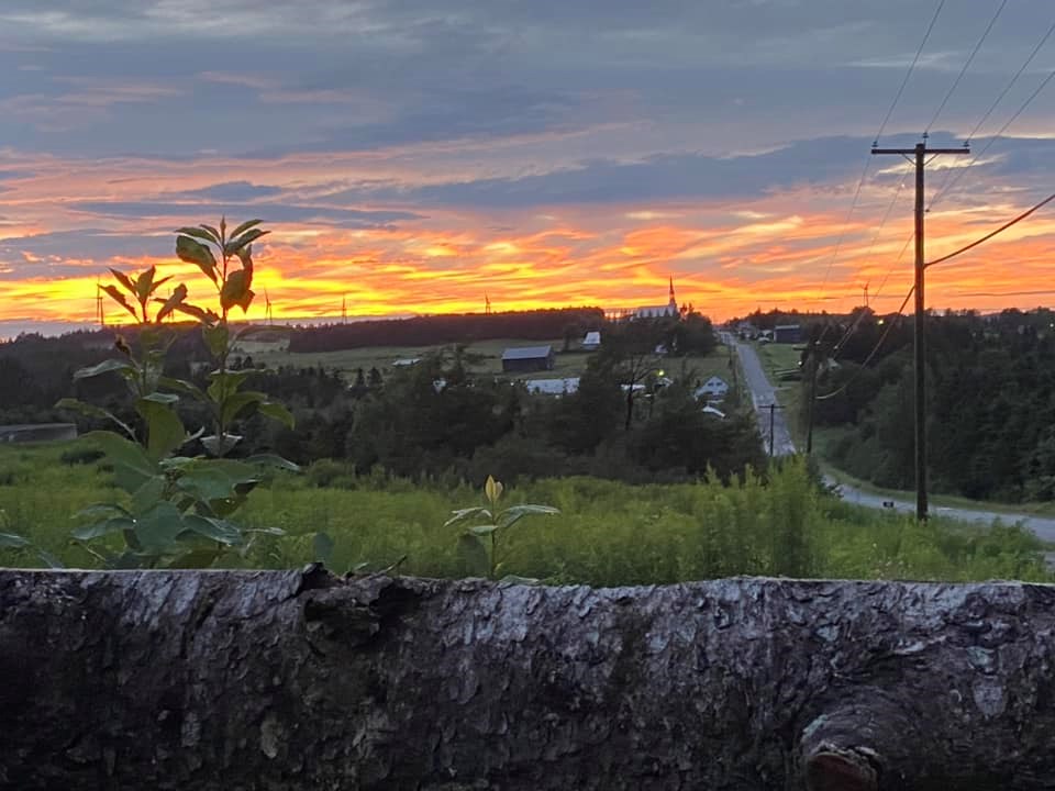 Galerie 3: la Beauce en été