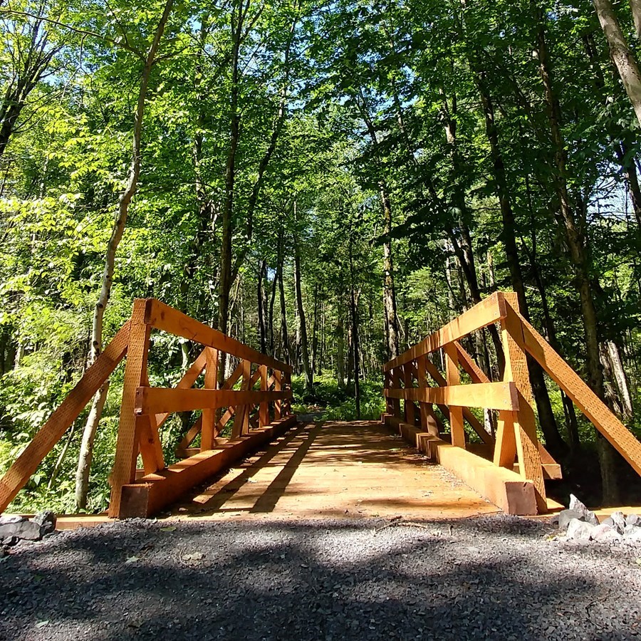 Pont de sentier pédestre