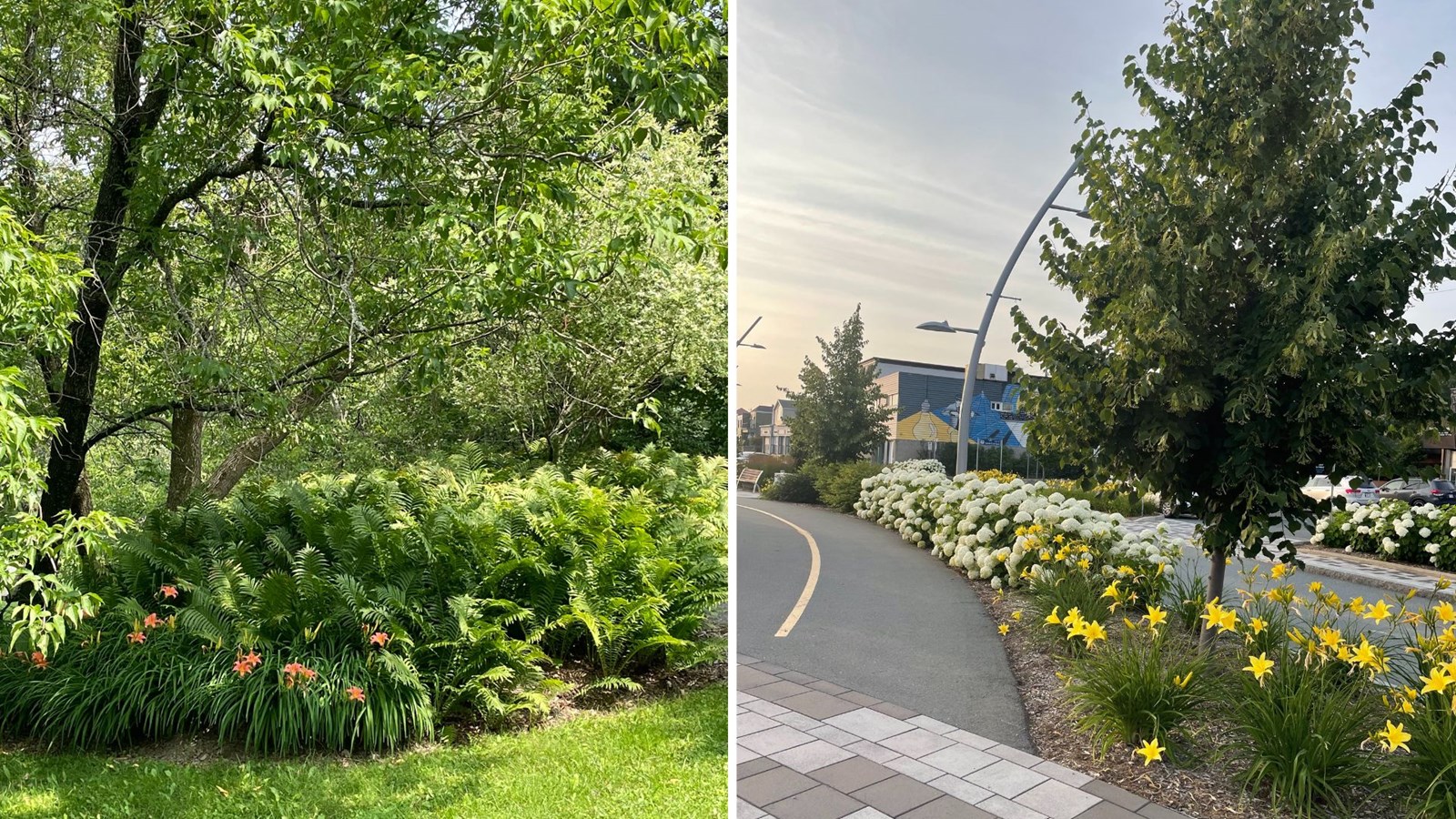 Galerie 3: la Beauce en été