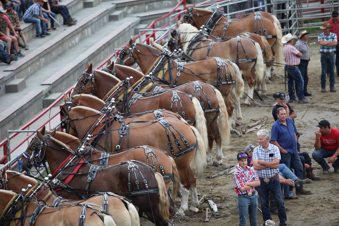 Les Festivités Western de Saint-Victor en images
