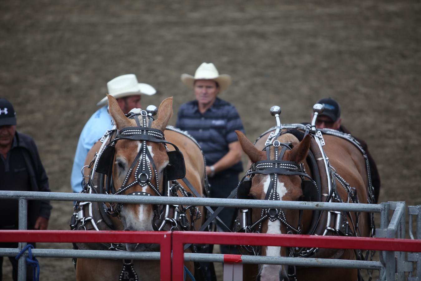 Les Festivités Western de Saint-Victor en images
