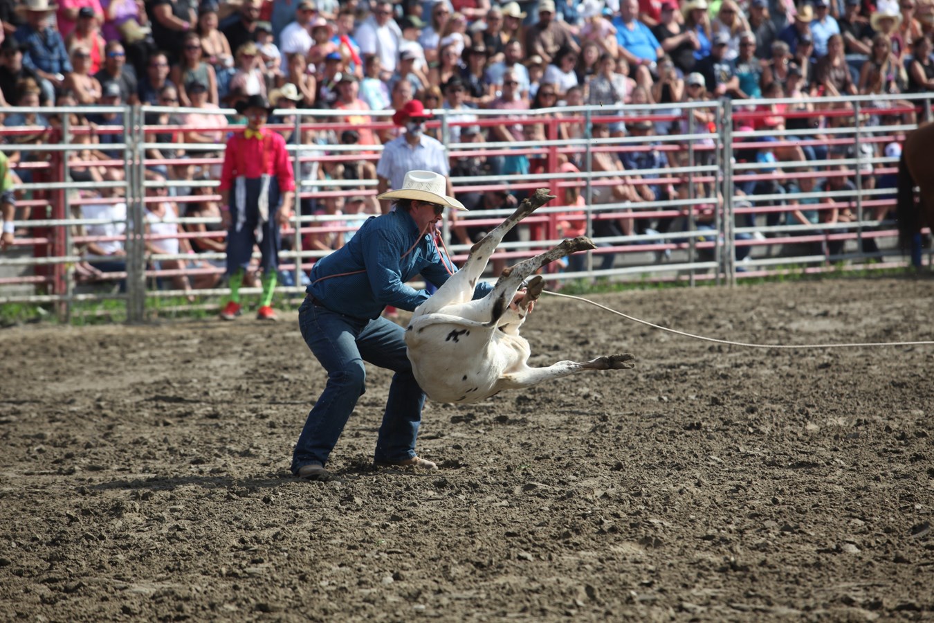 Une parade et un rodéo pour clôturer les Festivités Western