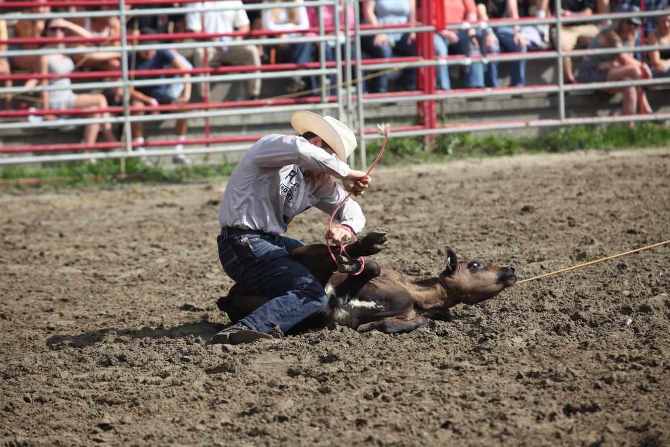 Une parade et un rodéo pour clôturer les Festivités Western