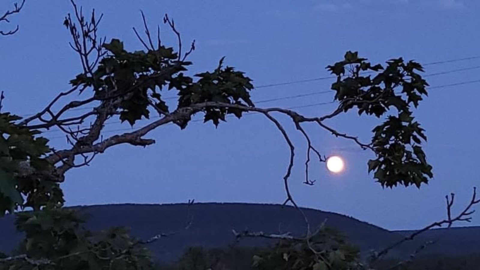 C'est la «Lune de l’Esturgeon» ce soir