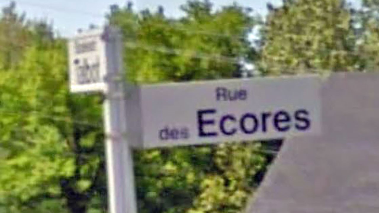 Avez-vous joué dans l'écore dans votre enfance?