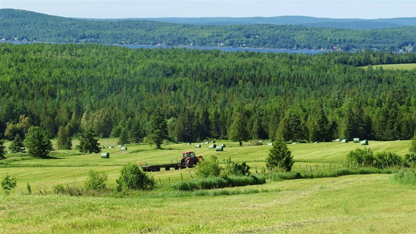 Des images de l'été en Beauce
