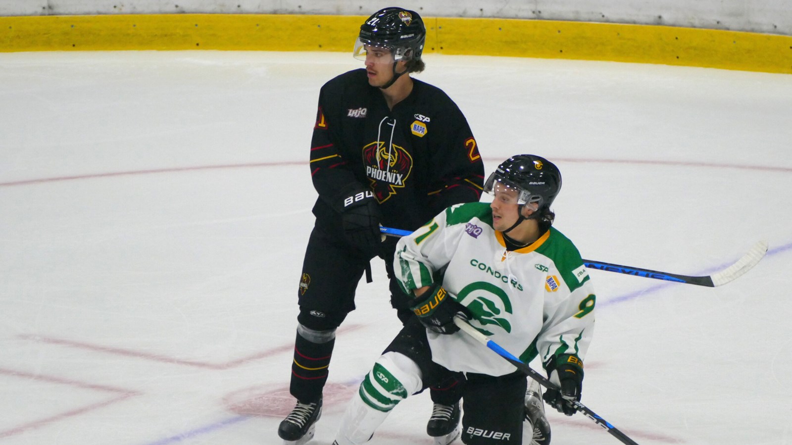 Hockey: les Condors débutent parfaitement leur saison