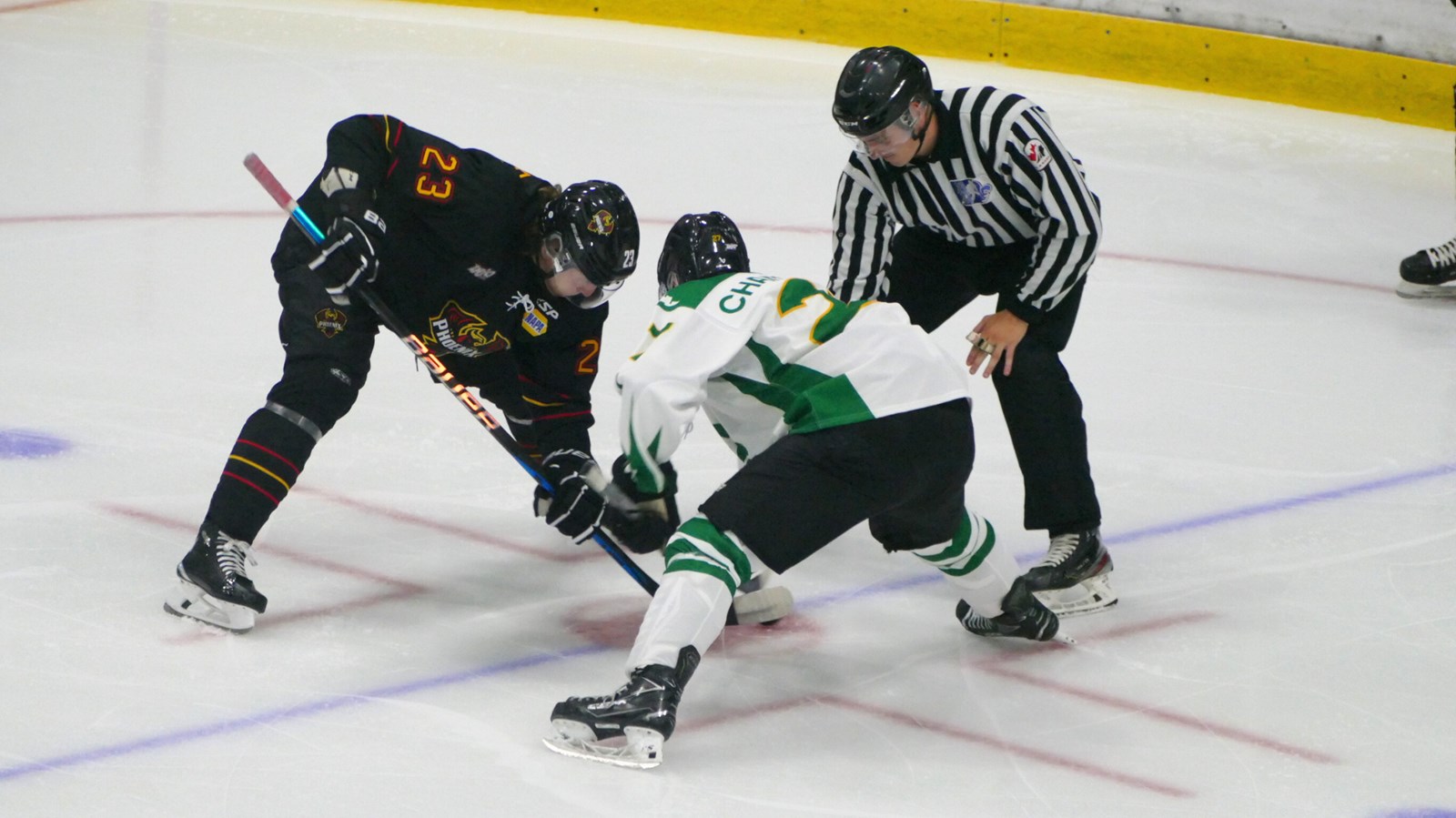 Hockey: les Condors débutent parfaitement leur saison