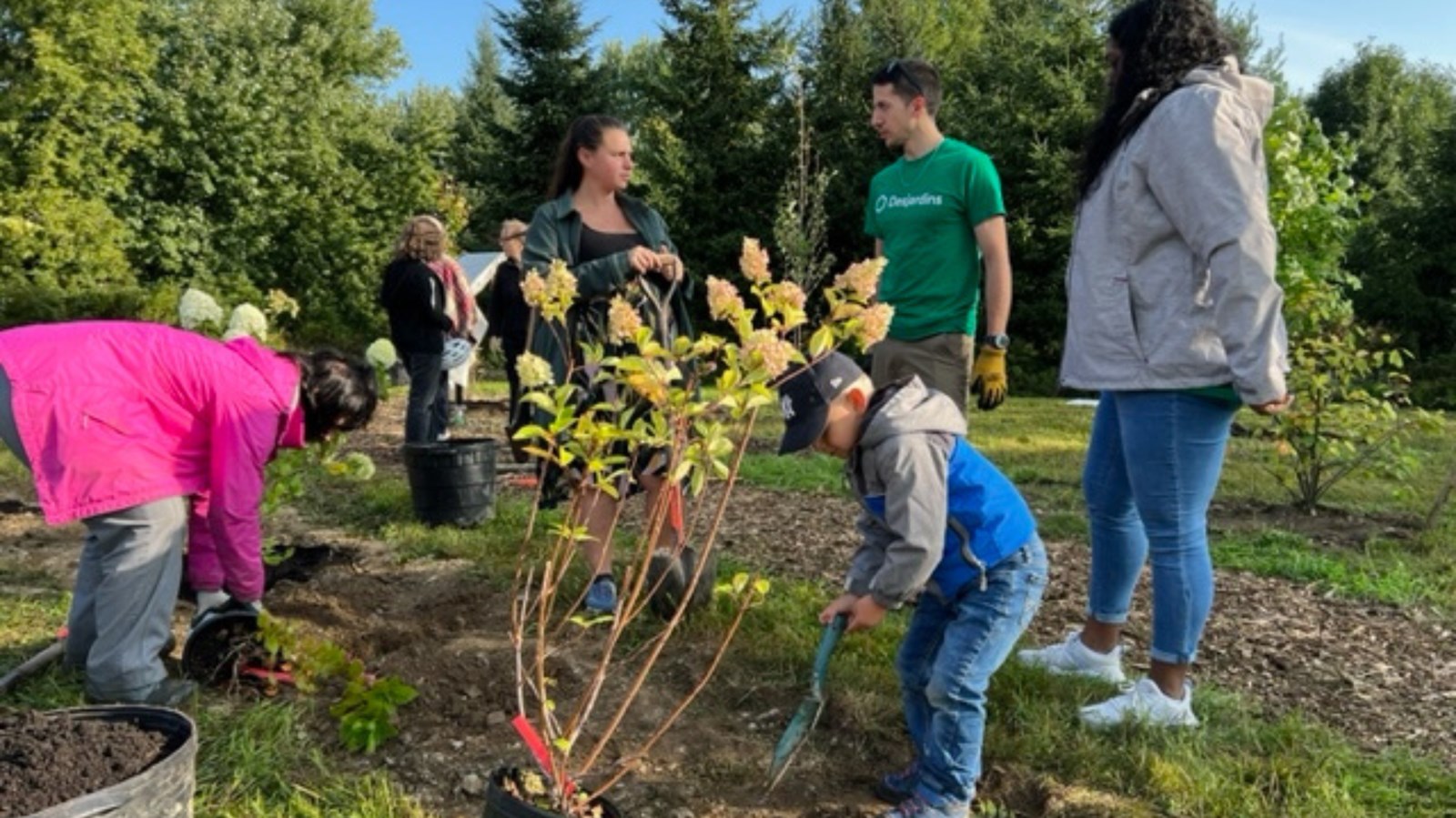 La Société de l’arbre mariveraine fête ses 30 ans