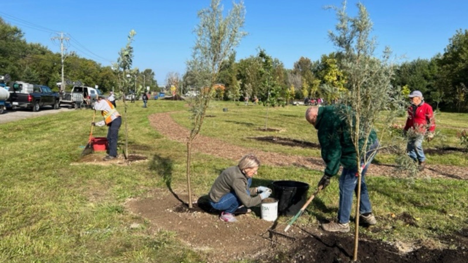 La Société de l’arbre mariveraine fête ses 30 ans