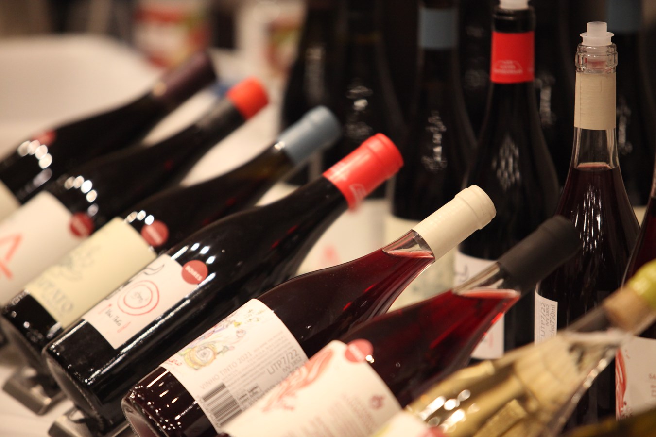 Le Salon des vins et spiritueux remet plus de 24 000$ à des organismes d'ici