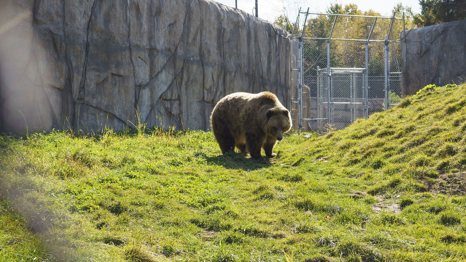 Courte promenade au Miller Zoo en images