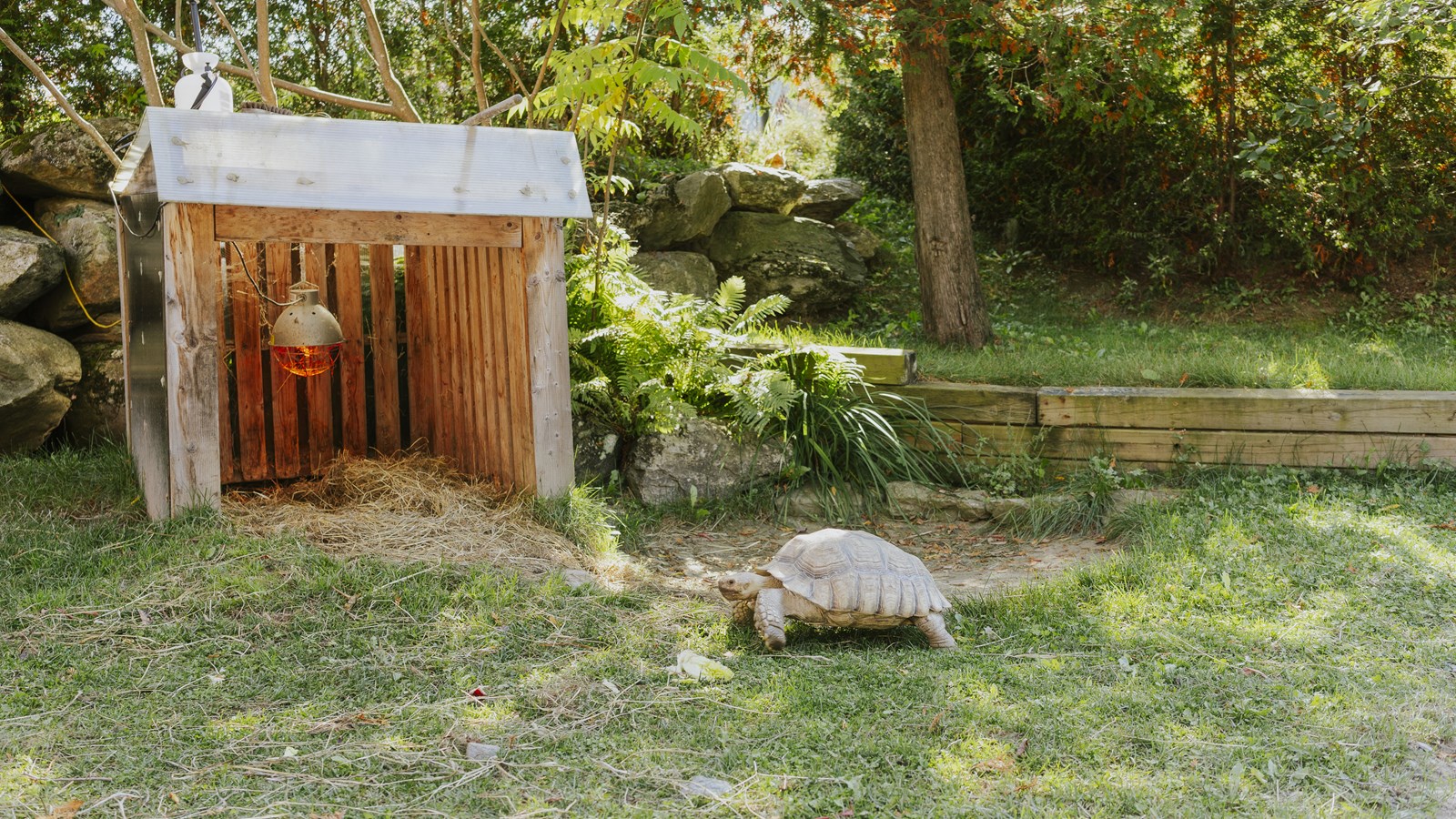 Courte promenade au Miller Zoo en images